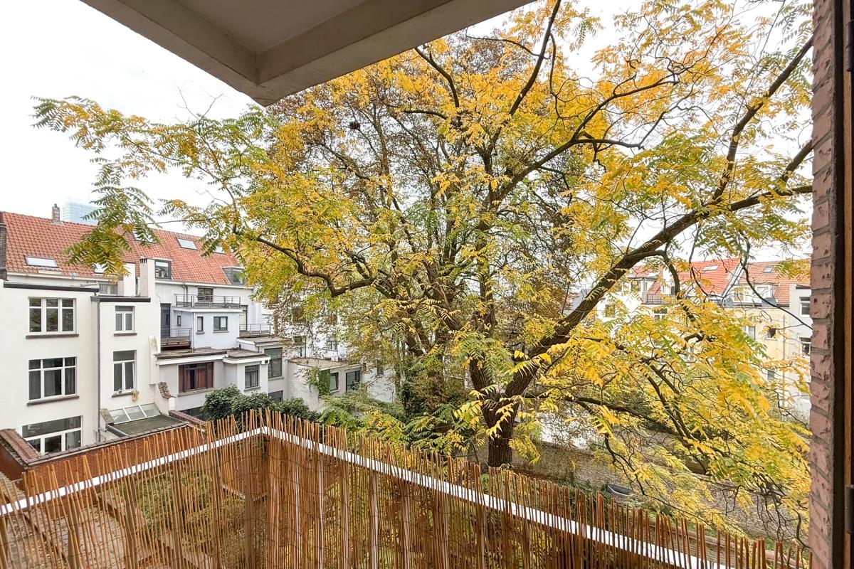 Quartier des Squares - Appartement rénové 2ch + balcon