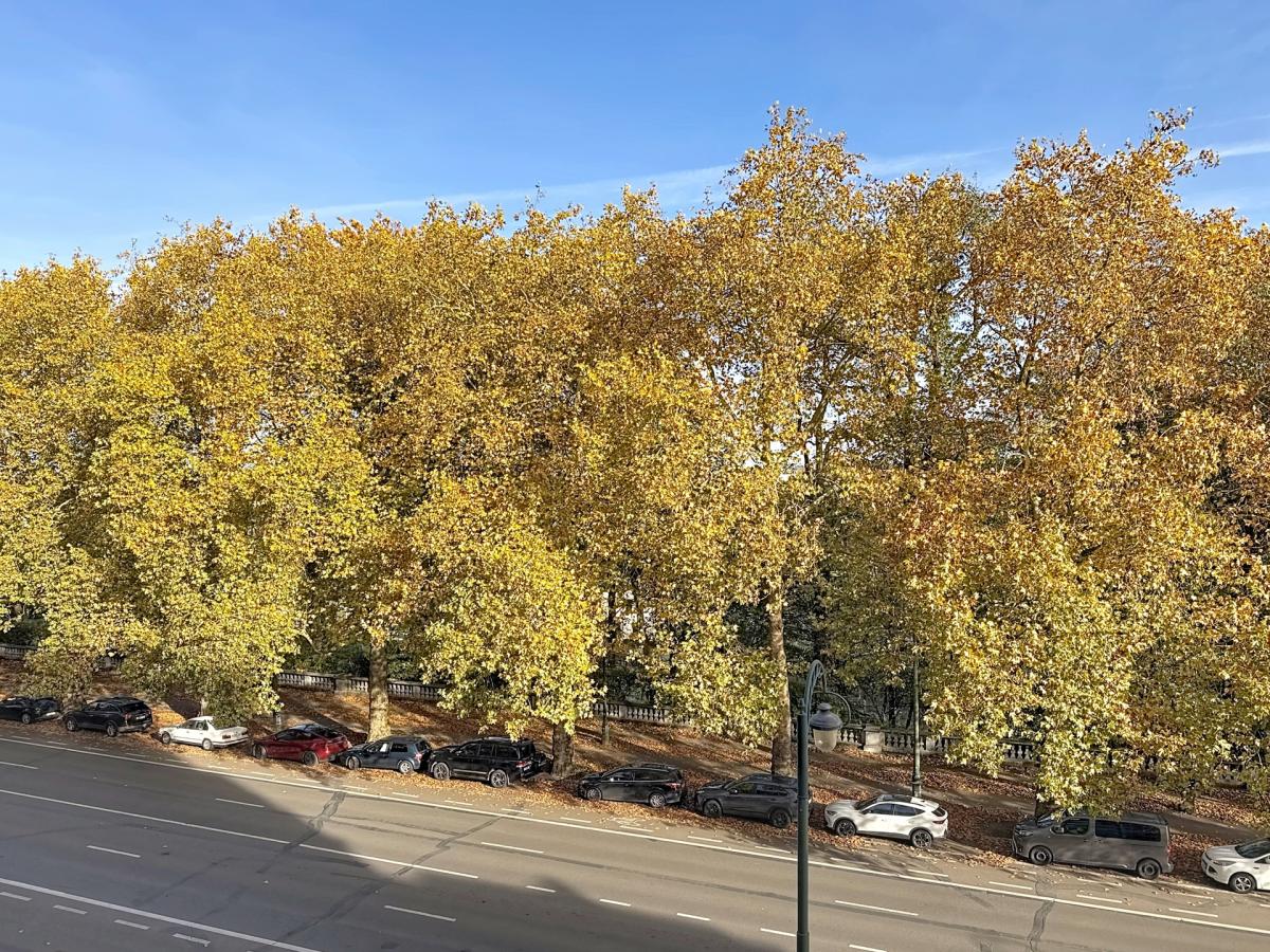 Metropolitan /Abbaye de la Cambre : Sublime appartement neuf