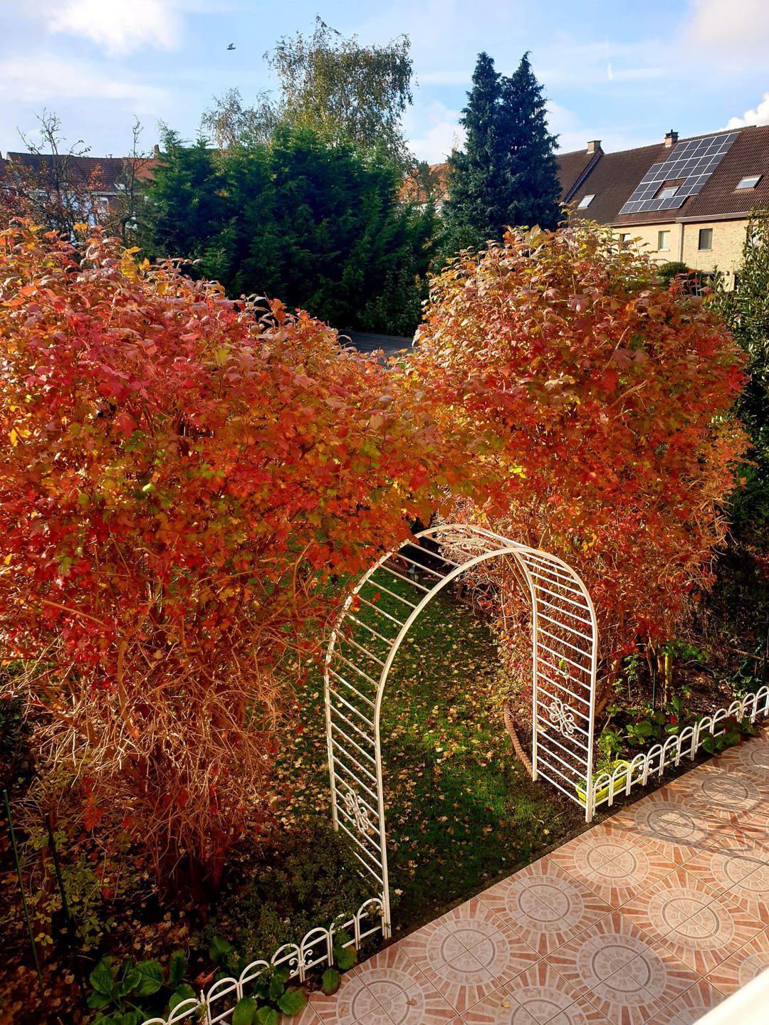 Splendide maison: jardin sud, double garage, prof. libérale