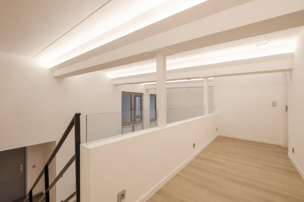 Molière: Magnifique loft 220 m² - possibilité 3 ch, terrasse