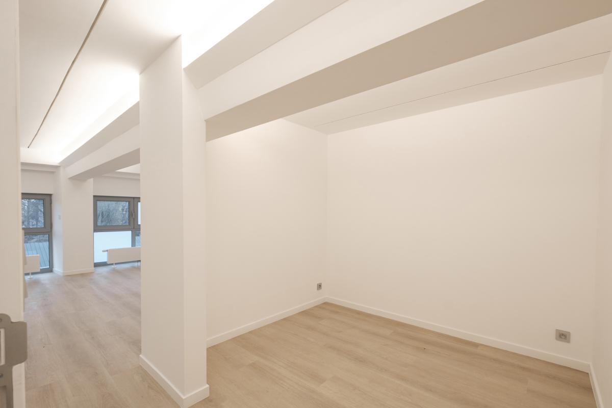 Molière: Splendide loft 192 m² - possibilité 3 ch, terrasse