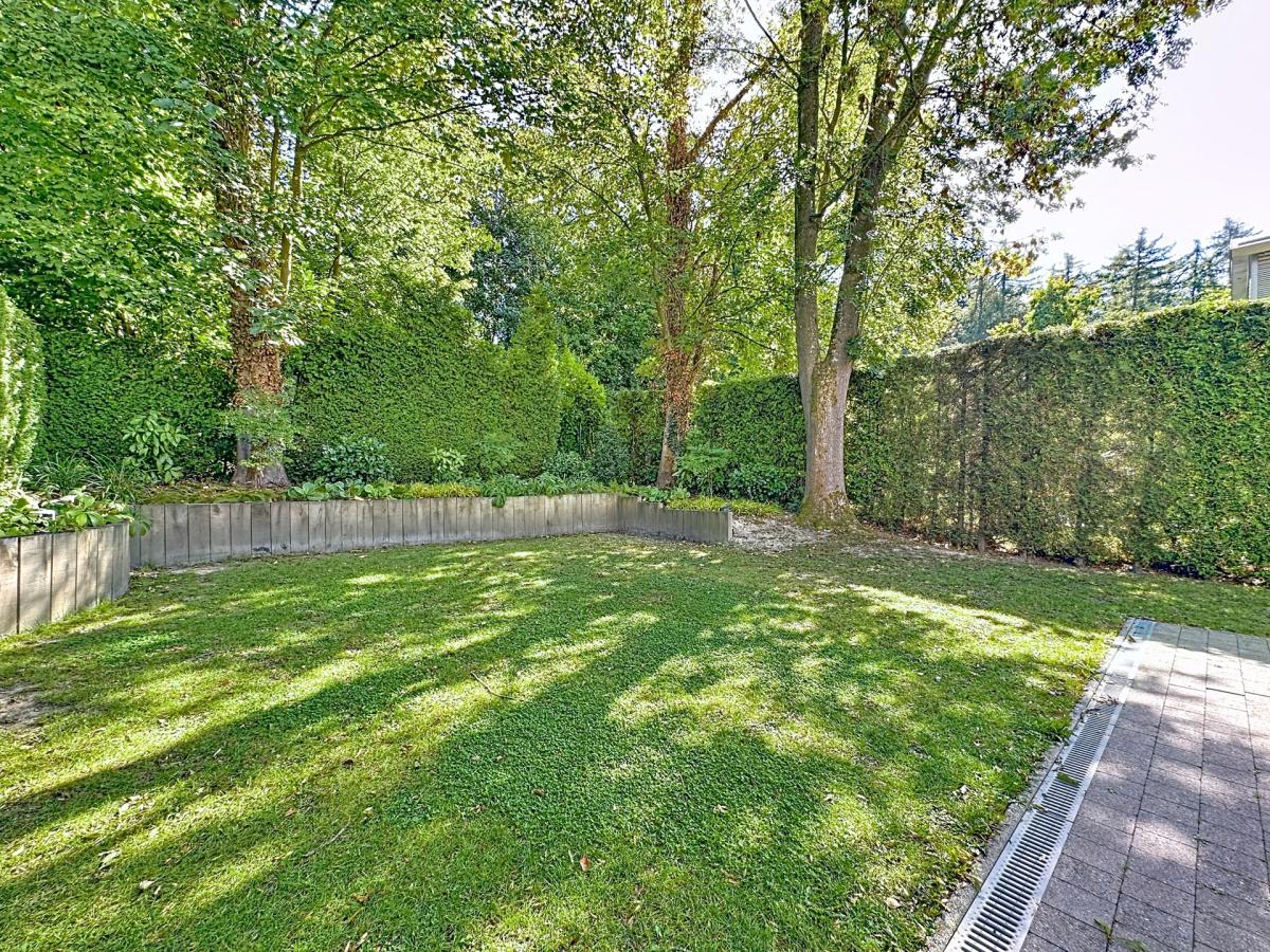 Dolez : Belle maison 3 façades + jardin + garage