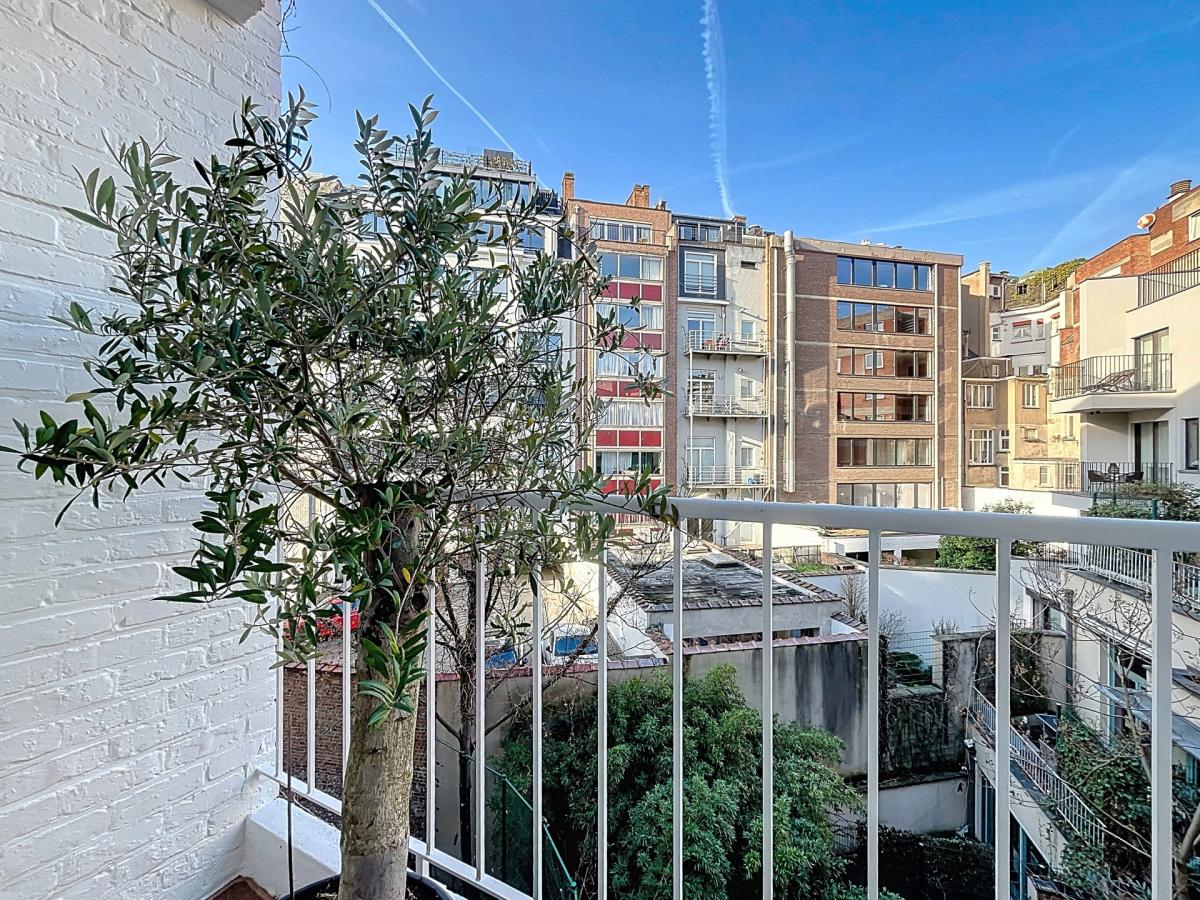 Jardin du Roi : Bel appartement entièrement rénové et meublé