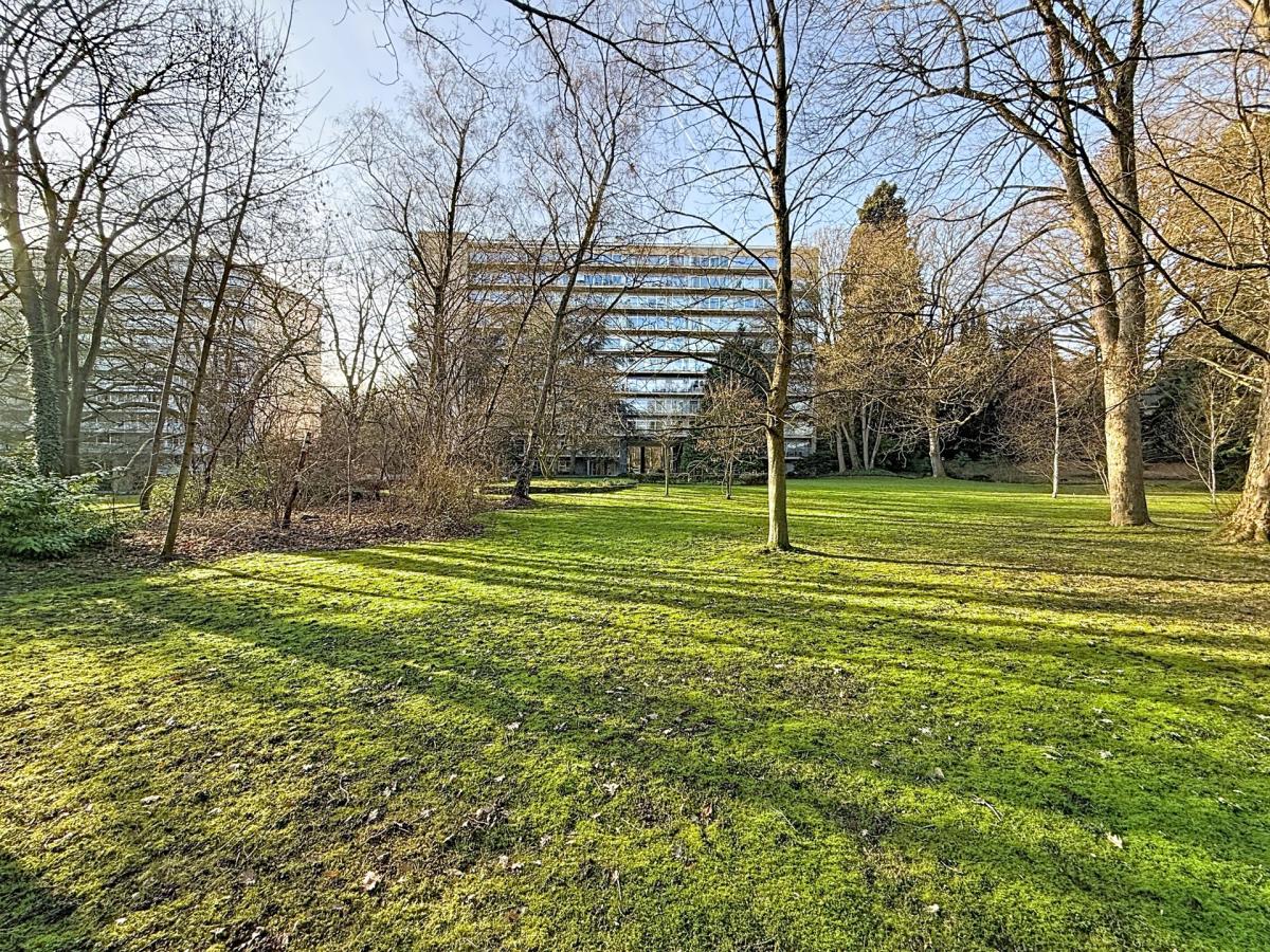 Bois de la Cambre : appartement 1 chambre + extérieur