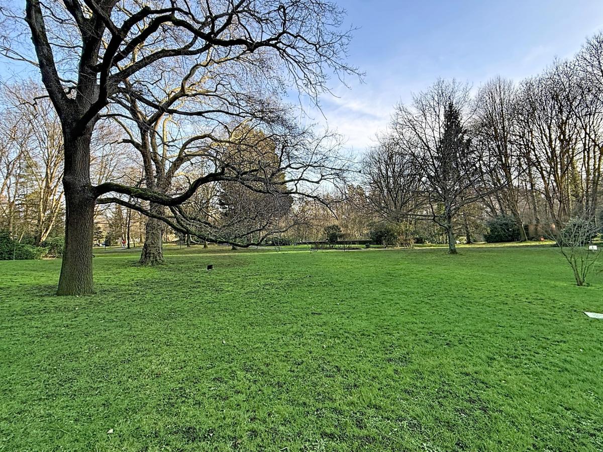 Bois de la Cambre : appartement 1 chambre + extérieur