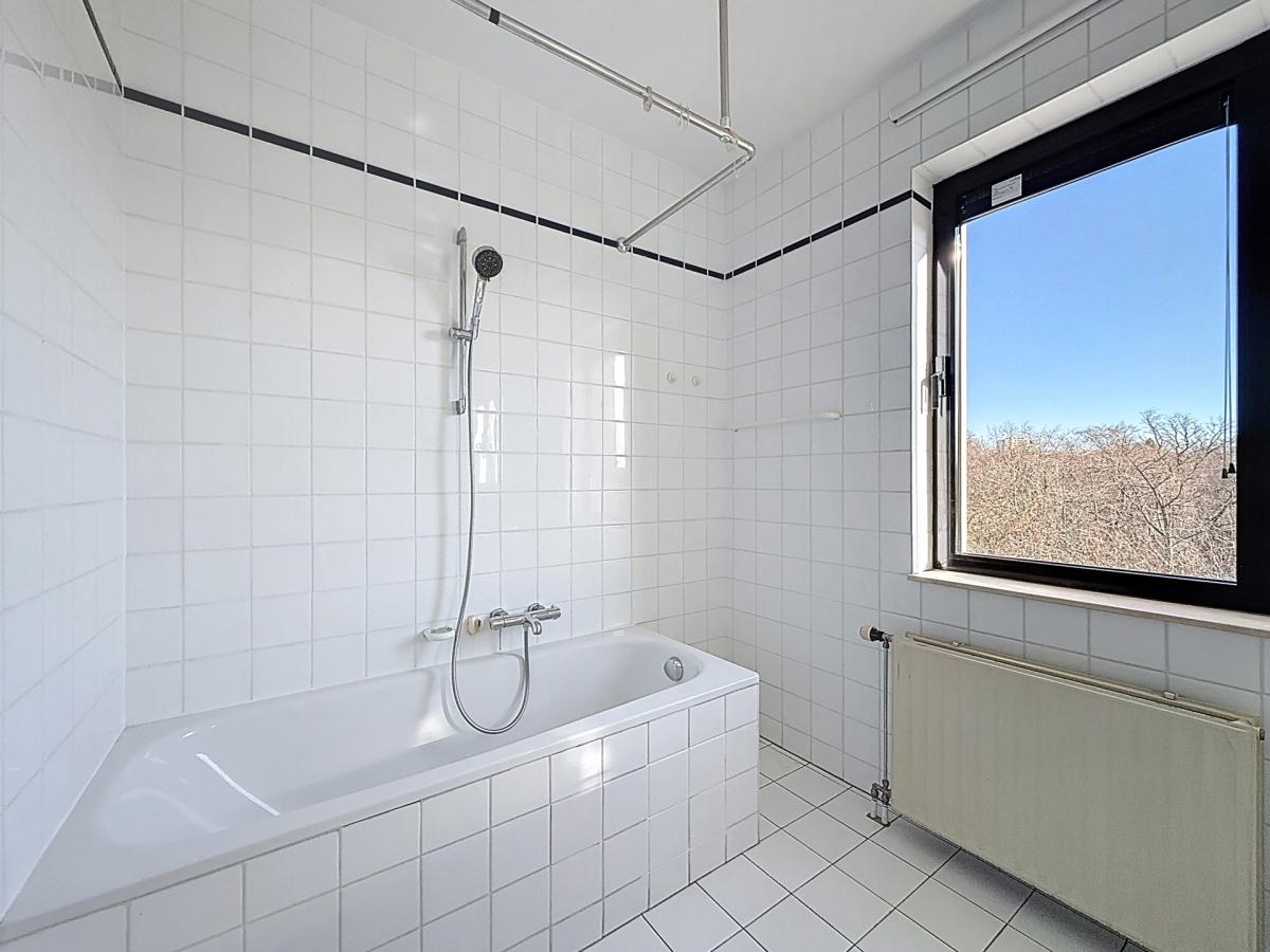 Parc Brugmann : Bel appartement 3 chambres + terrasse 