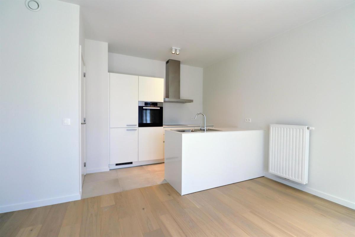 Cinquantenaire Magnifique appartement 2020 terrasse parking 