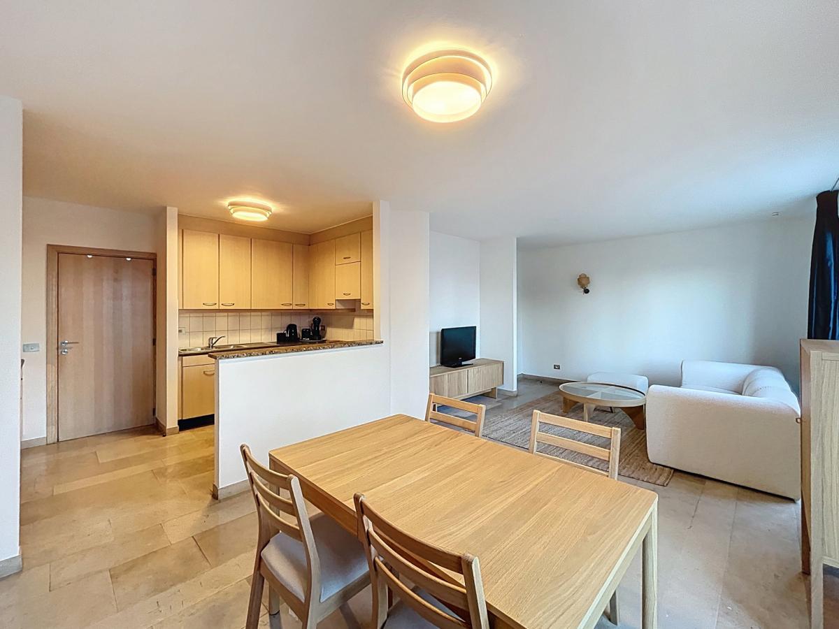 Quartier Européen - Magnifique appartement meublé 2 chambres