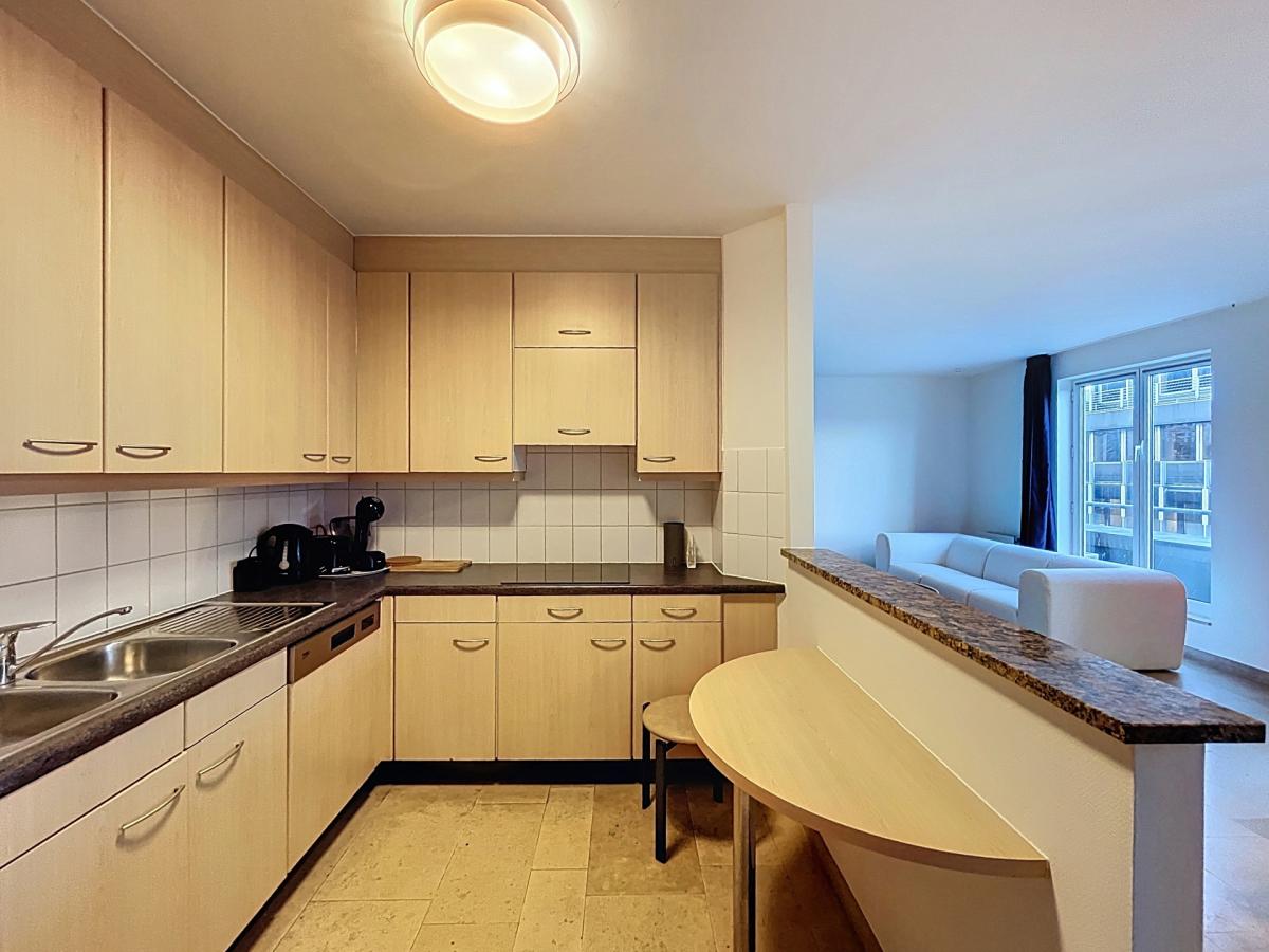 Quartier Européen - Magnifique appartement meublé 2 chambres