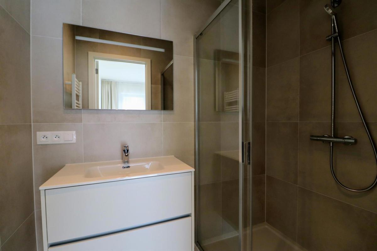 Cinquantenaire Magnifique appartement 2020 terrasse parking 