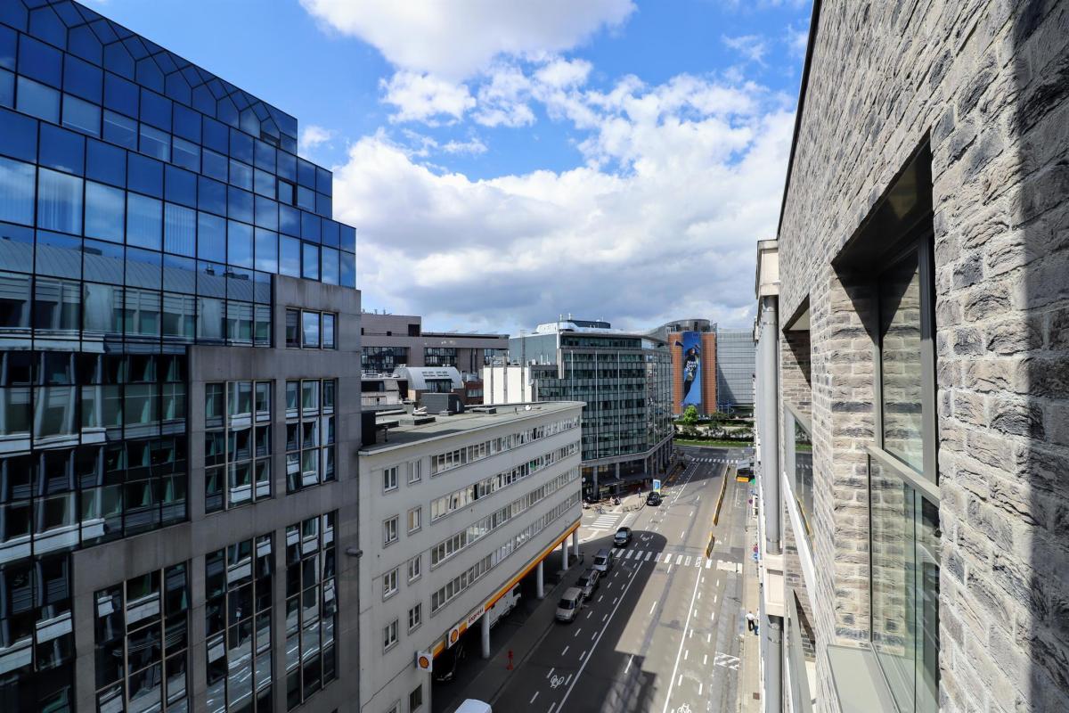 Cinquantenaire Magnifique appartement 2020 terrasse parking 