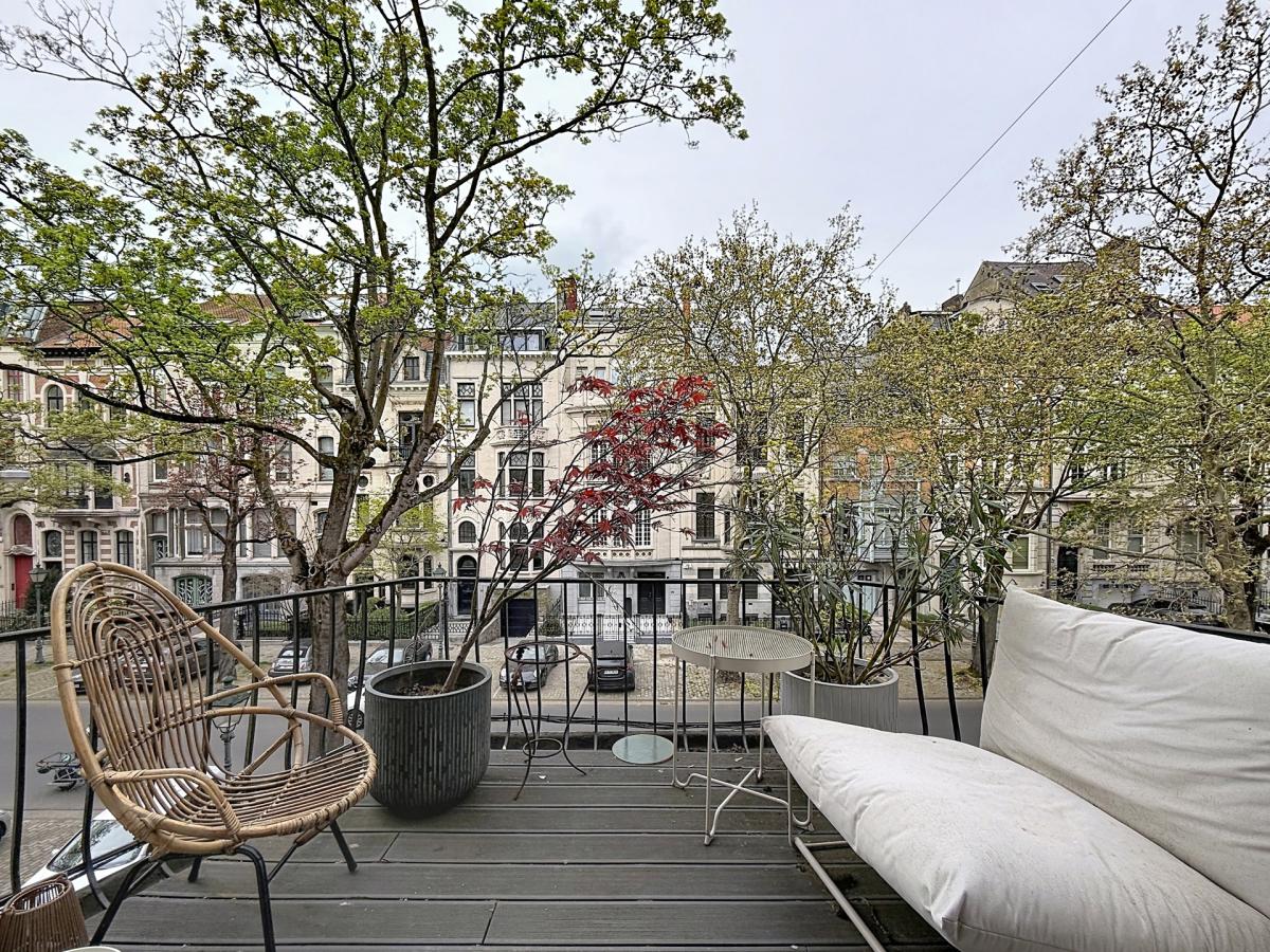 Molière : Appartement 1ch + terrasse 