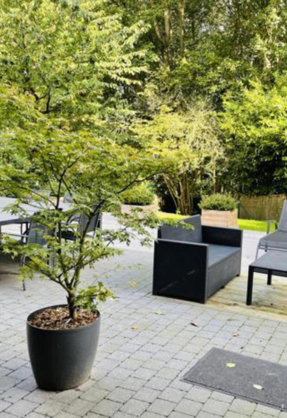 Parc de Woluwe: magnifique duplex rénové 3 terrasses 