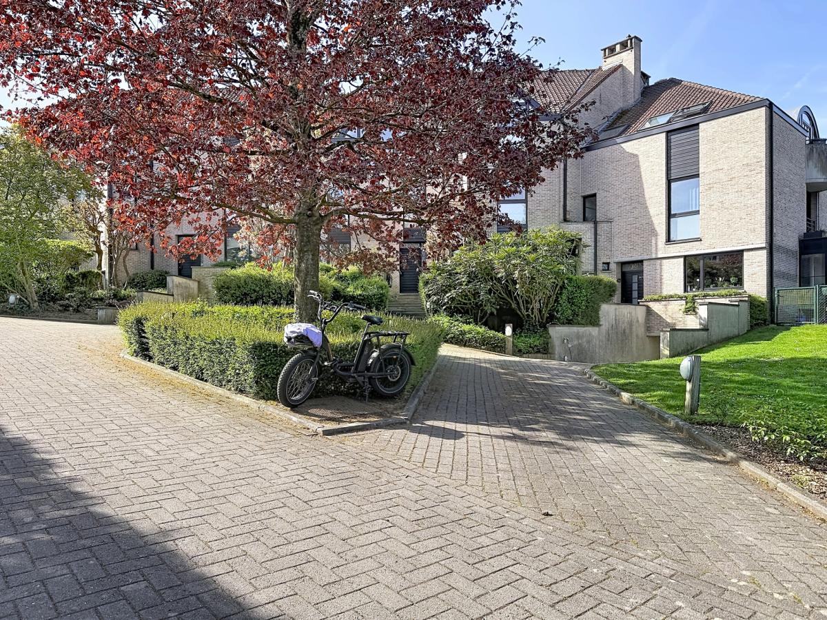 Lycée Français : Magnifique duplex rdc avec jardin + parking
