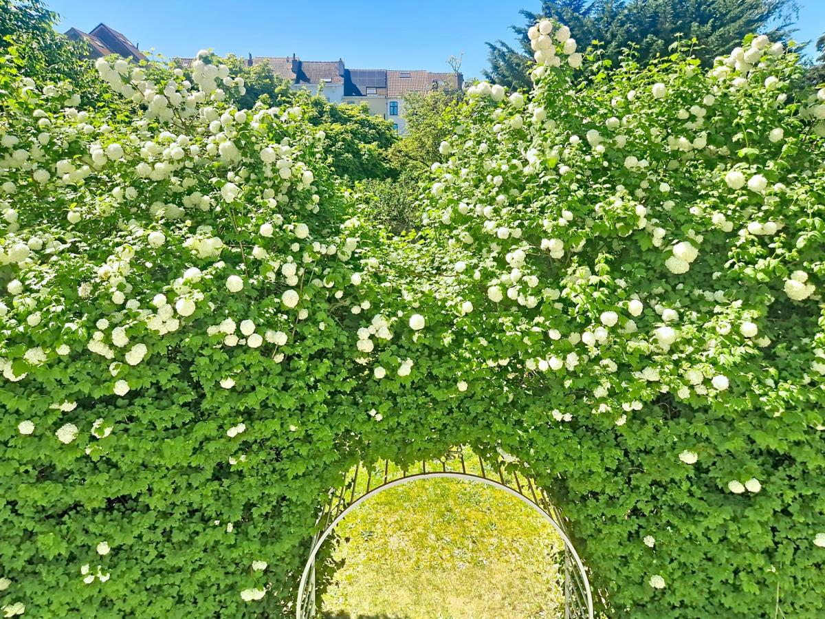 Splendide maison: jardin sud, double garage, prof. libérale