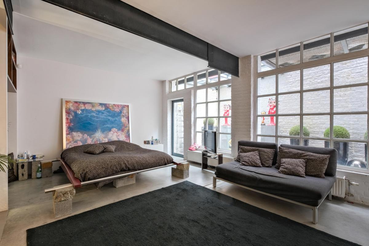 Magnifique loft meublé, 2 grandes terrasses et parking
