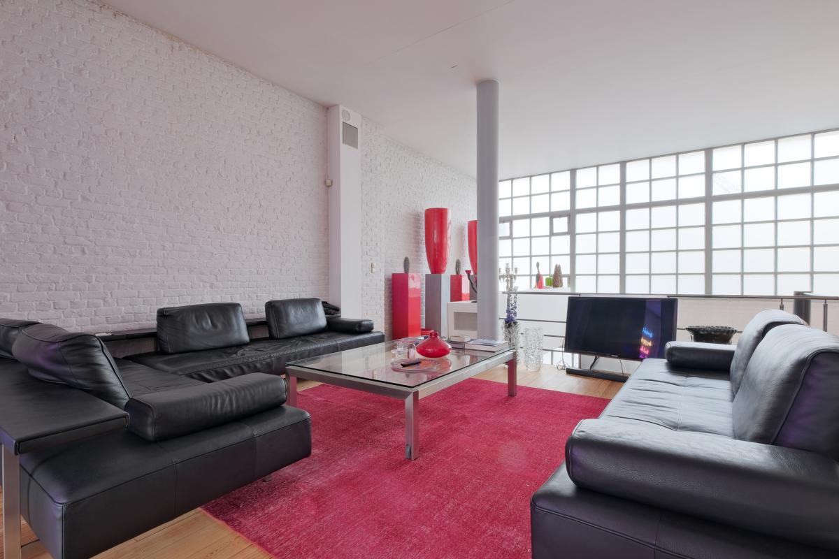 Magnifique loft meublé, 2 grandes terrasses et parking
