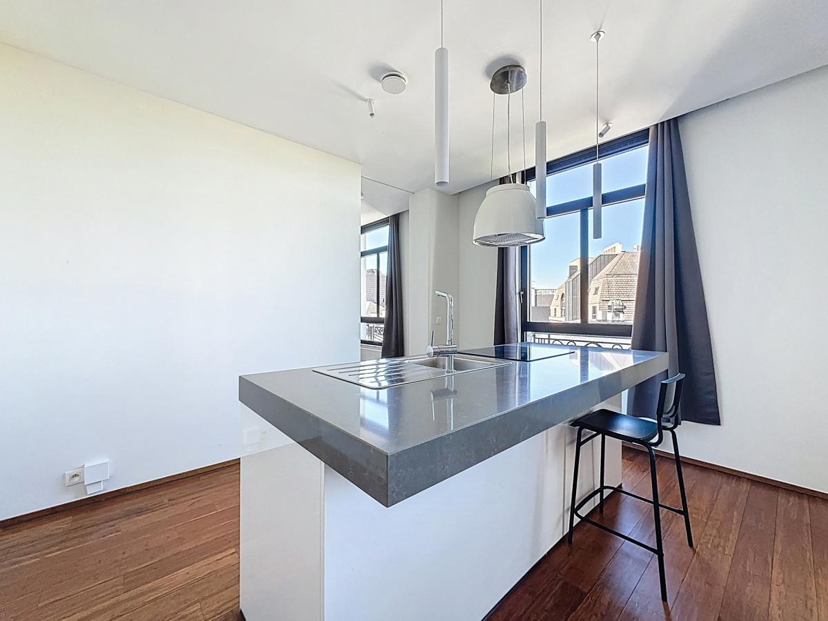 Toison d'Or : Bel appartement meublé 1 chambre