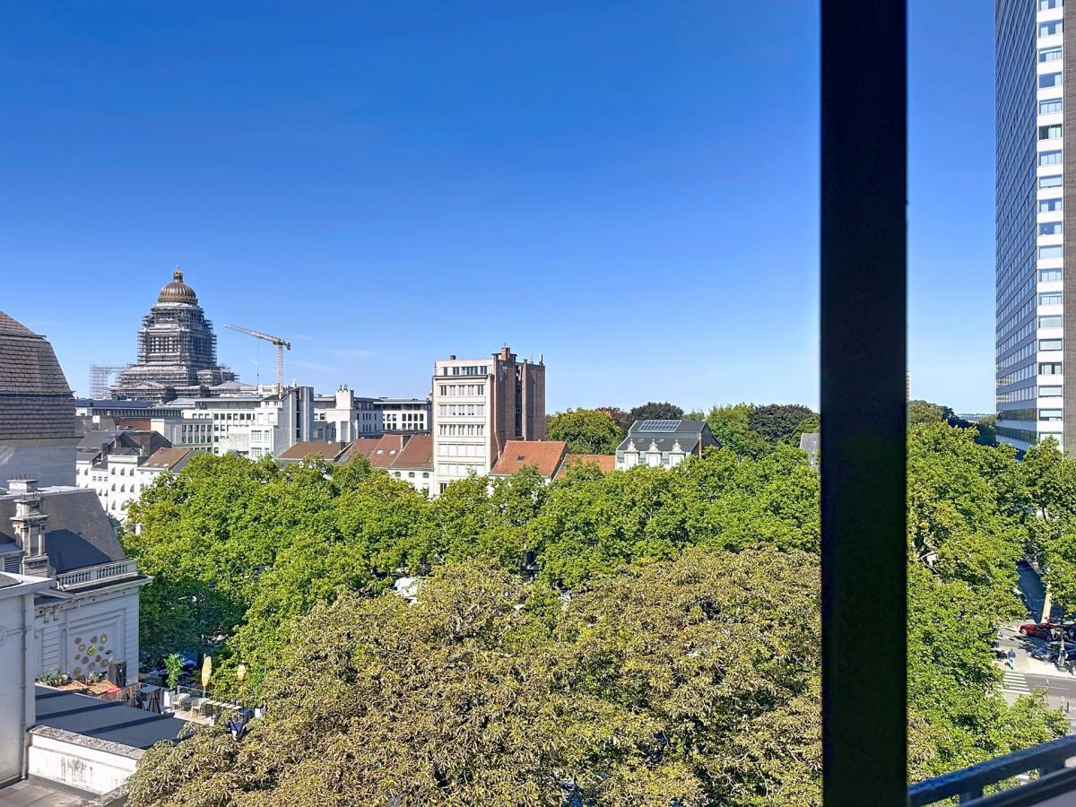 Toison d'Or : Bel appartement meublé 1 chambre