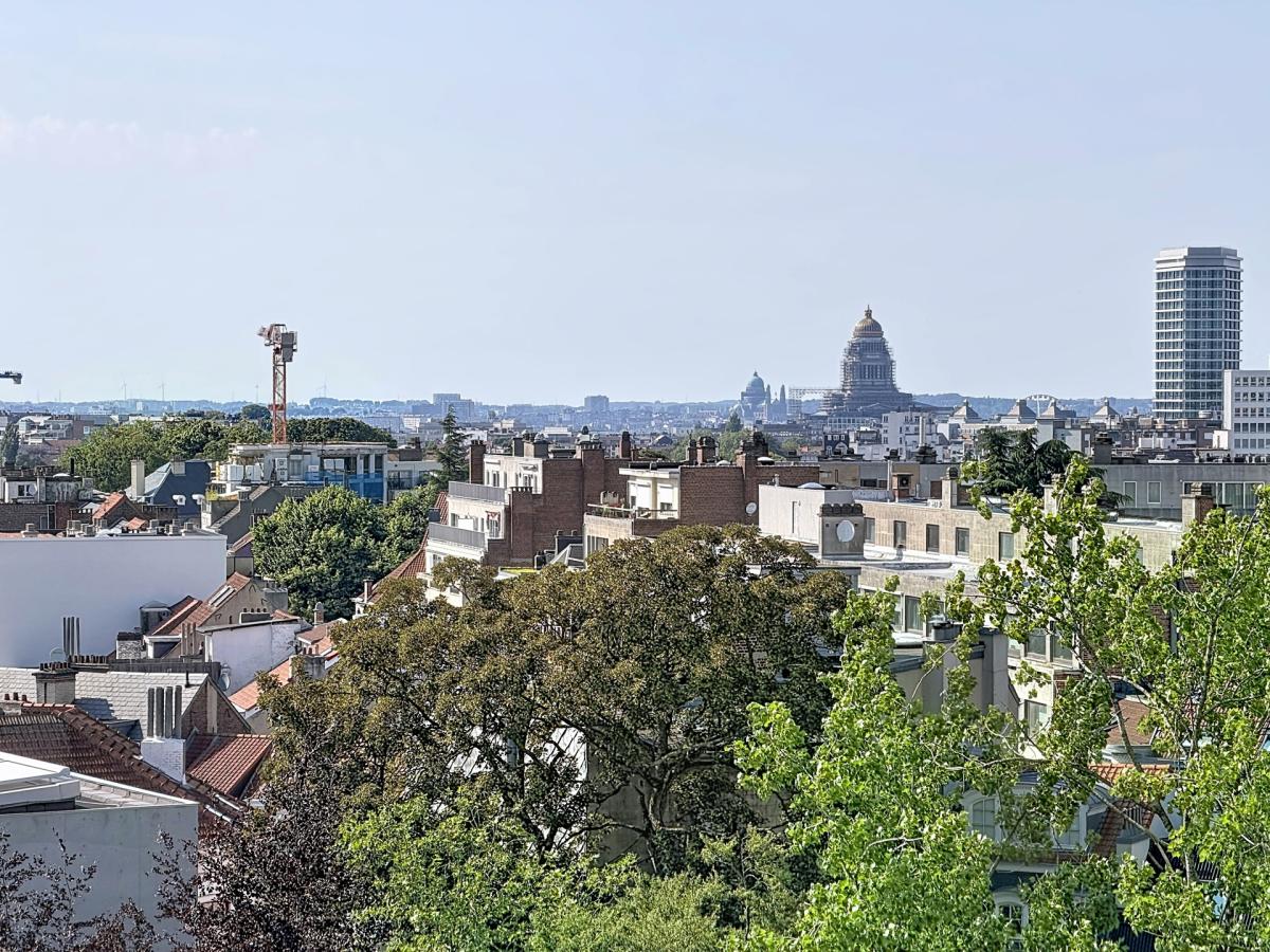 Louise / Jardin du Roi : Bel appartement rénové + jolie vue