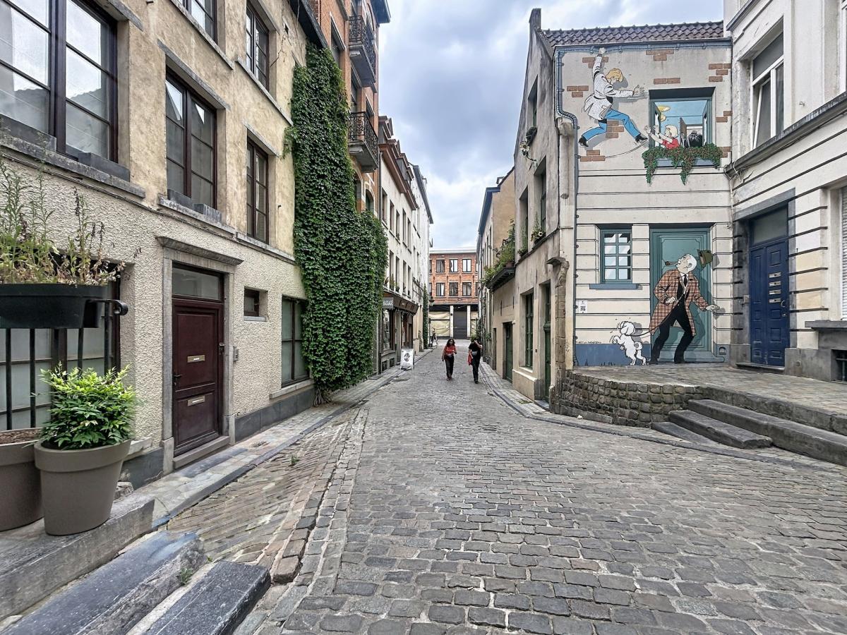 Grand-Place : Maison 5 chambres + terrasse