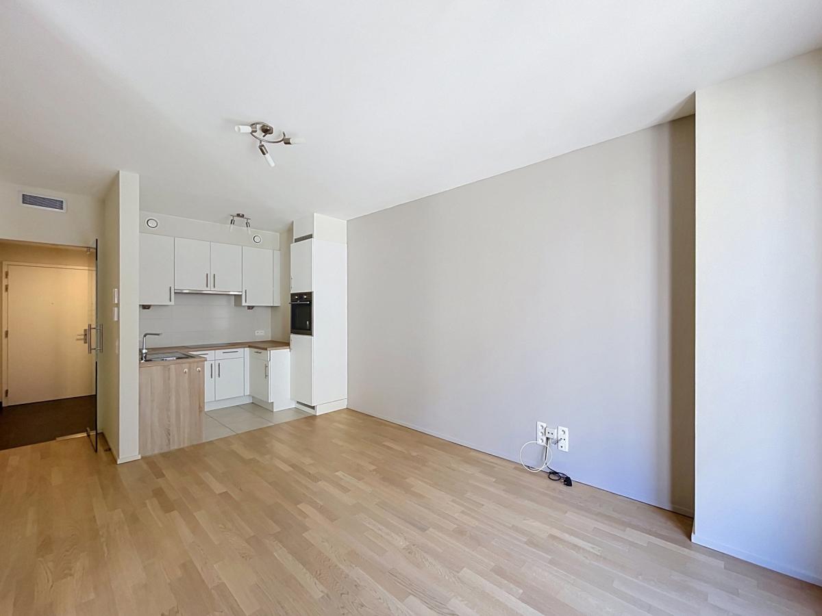 Quartier Européen - Magnifique Appartement 1ch + terrasse