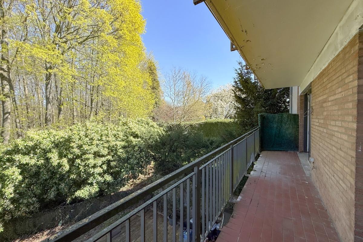 Chant d'oiseau: magnifique duplex rénové 3 terrasses 