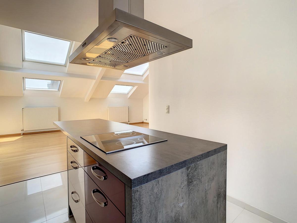 Etangs d'Ixelles : appartement 2 ch + bureau + 2 terrasses