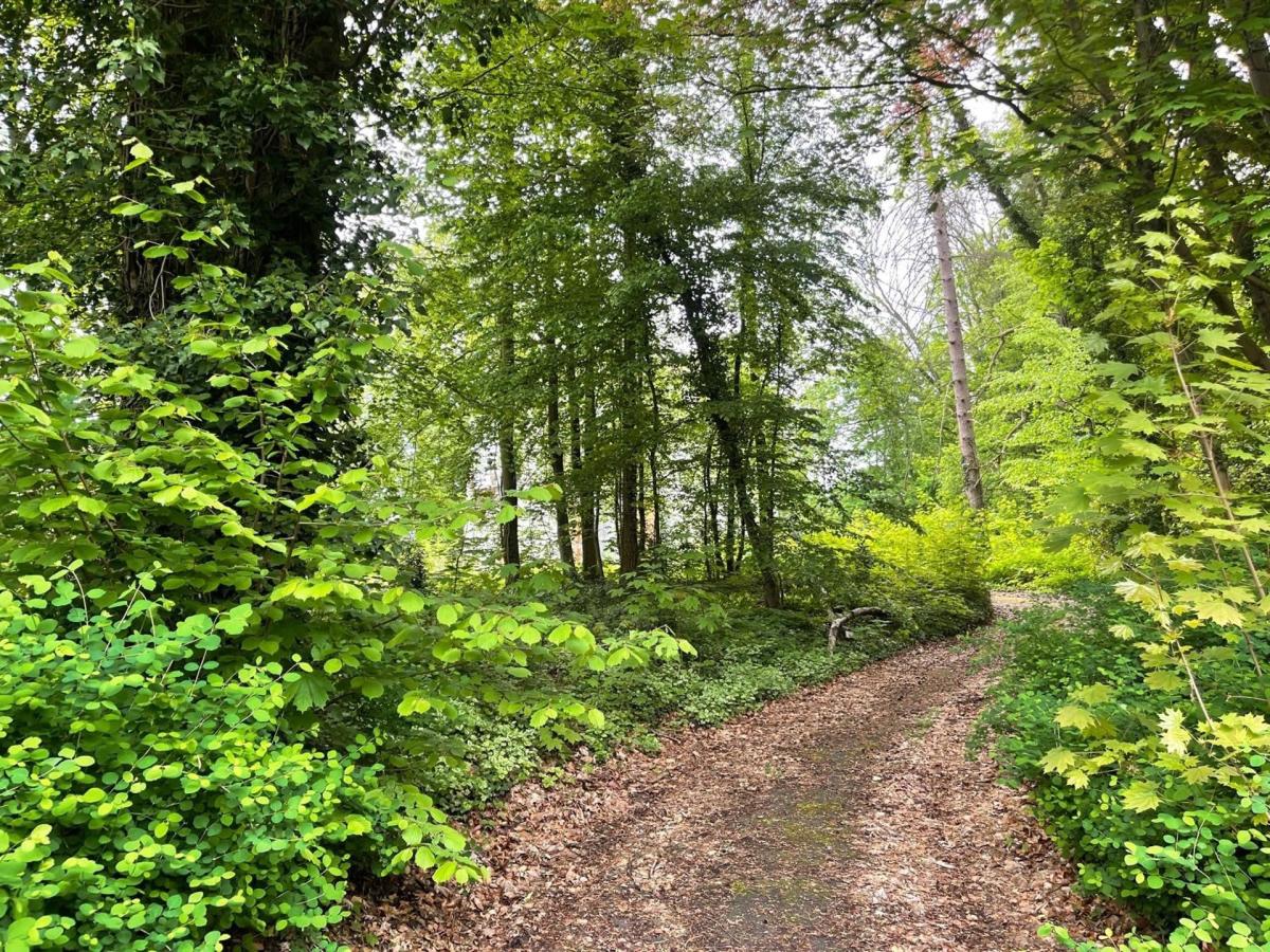 Linkebeek / Vallée des artistes, terrain  de 51 ares