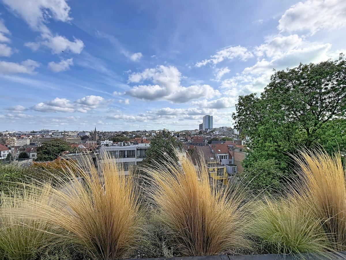 Flagey / Louise - Superbe duplex penthouse + terrasse !