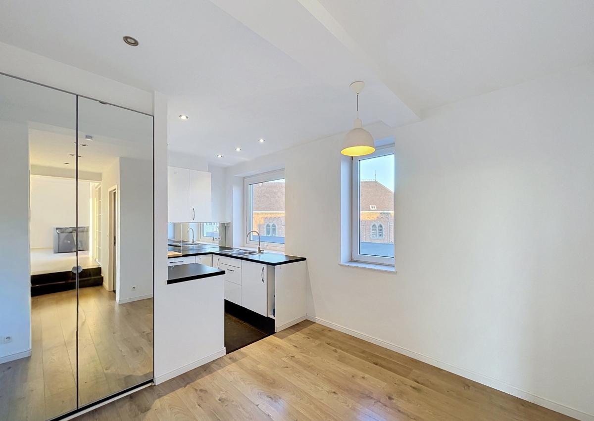 Cinquantenaire – Magnifique penthouse 1 ch. + terrasse