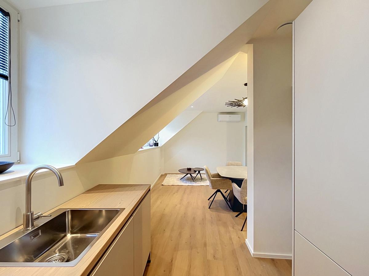 Cinquantenaire - Magnifique appartement meublé et rénové