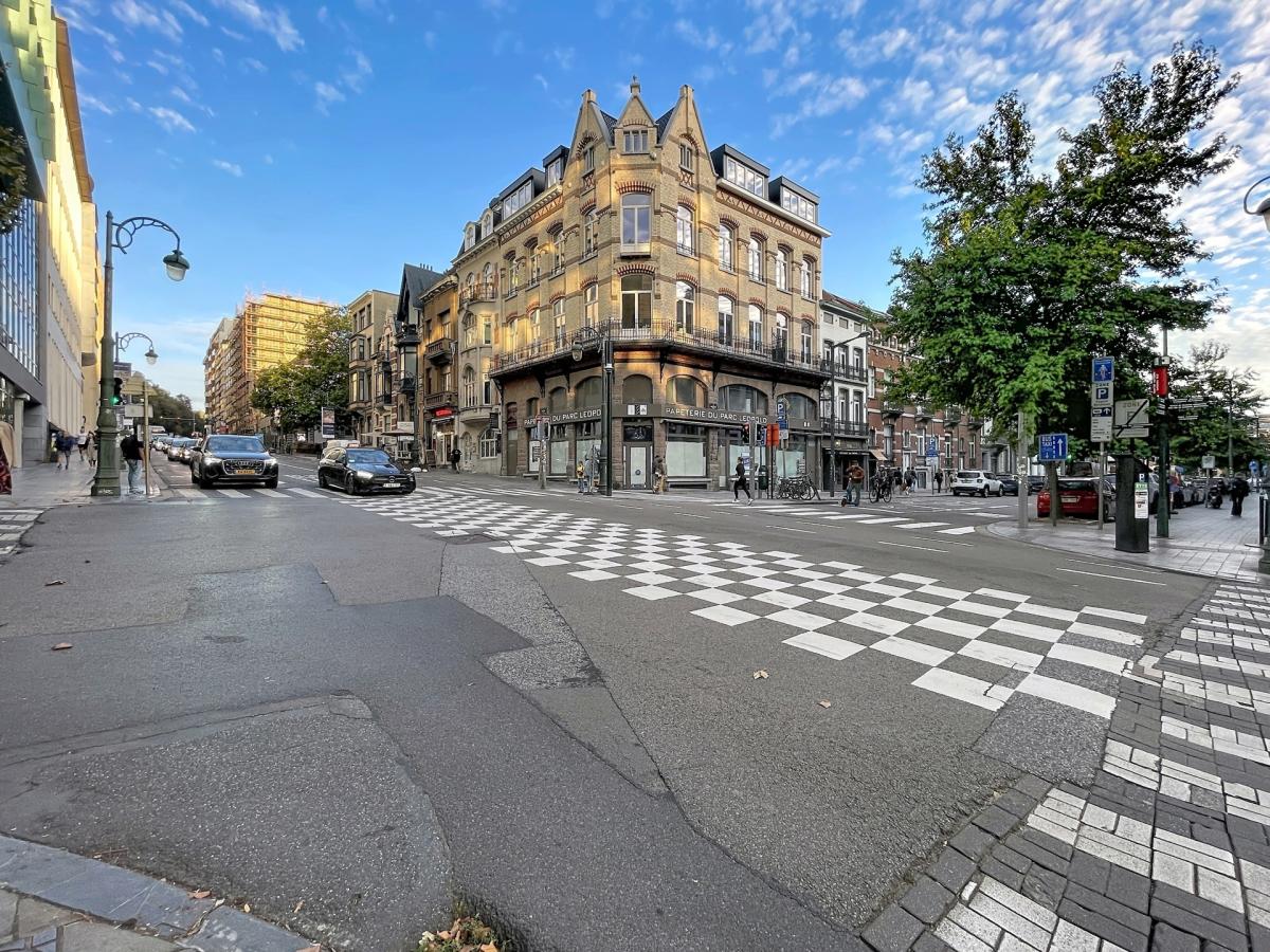 Cinquantenaire - Magnifique appartement meublé et rénové